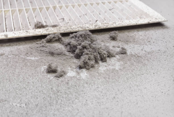 Best Ventilation Cleaning Services  in Channel Lake, IL