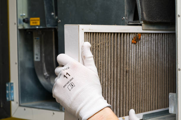 Best Duct Cleaning Specialists  in Channel Lake, IL