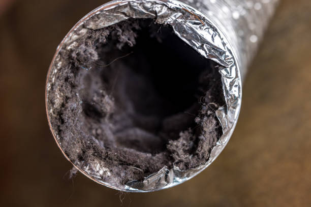 Best Best Air Duct Cleaning Company  in Channel Lake, IL